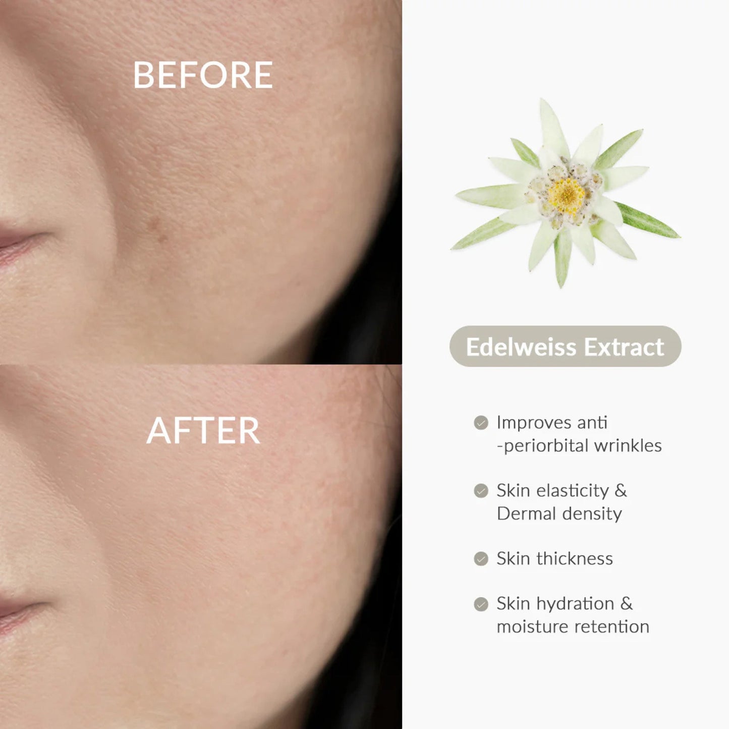 Dr. Althea Rapid Firm Sculpting Cream - Image 6