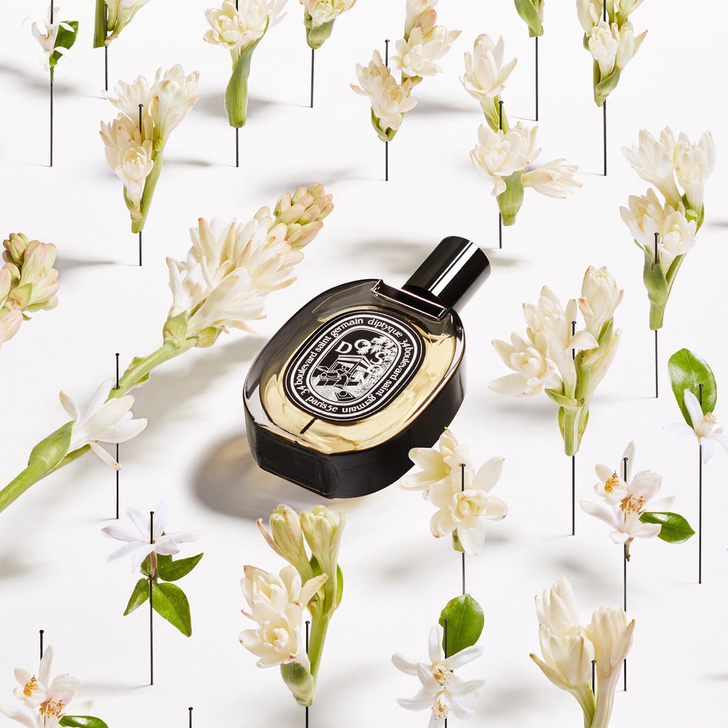 Do Son Eau de Parfum