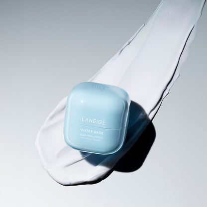 Water Bank Blue Hyaluronic Acid Cream Moisturizer