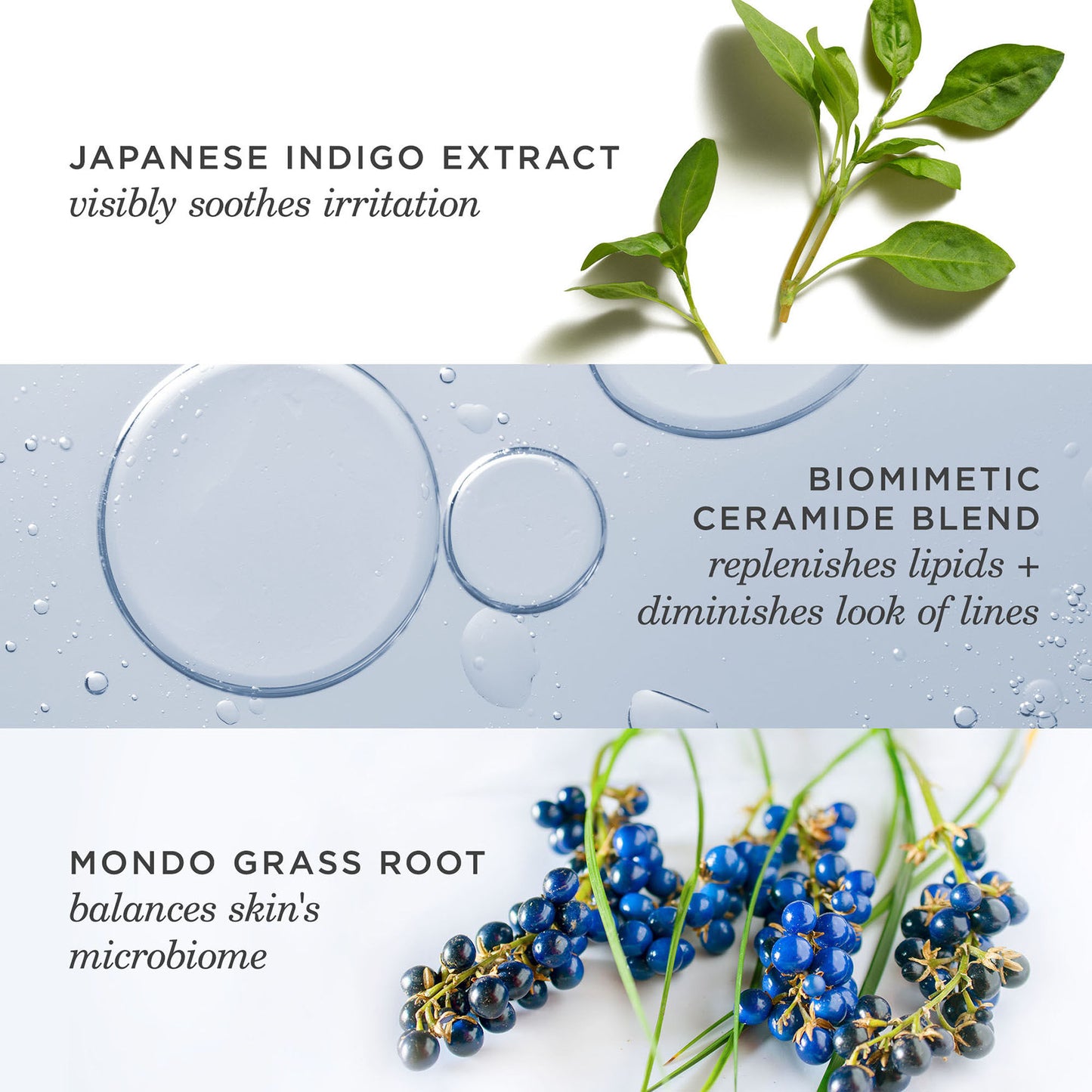 Indigo Overnight Repair