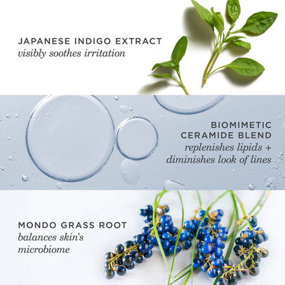 Indigo Overnight Repair