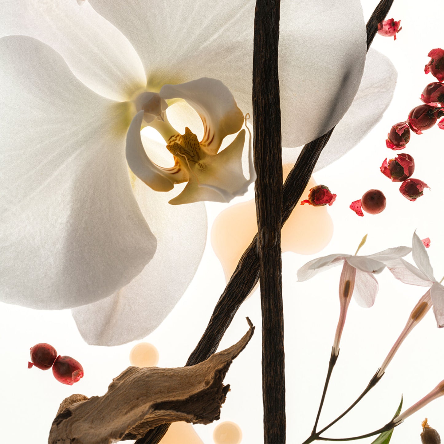 Vanilla Skin Eau De Parfum