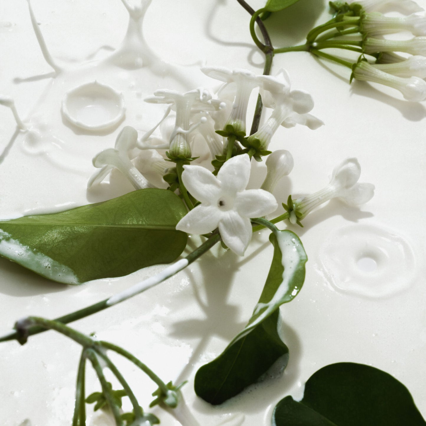 Heavy Cream Body Mist