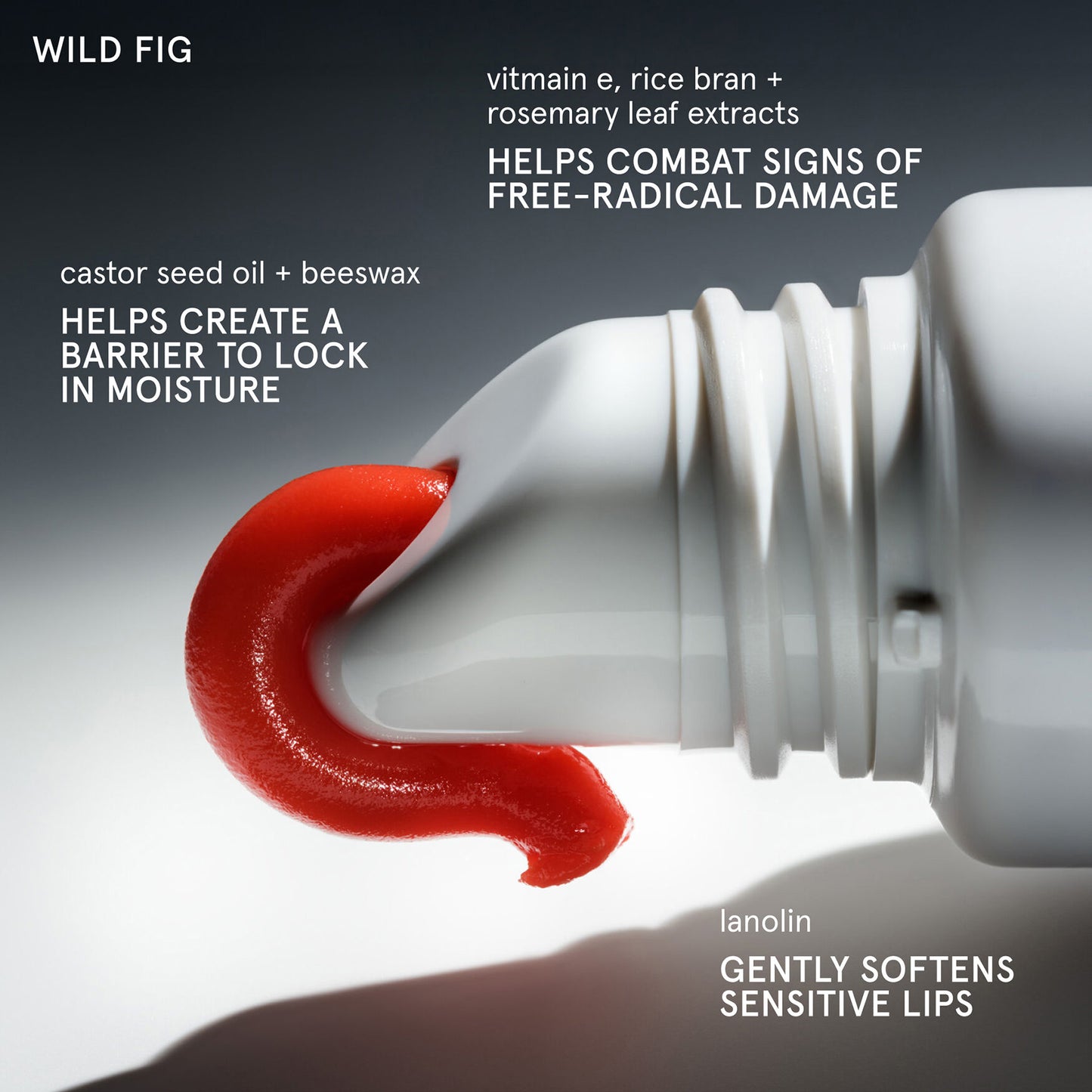 Balm Dotcom Lip Balm