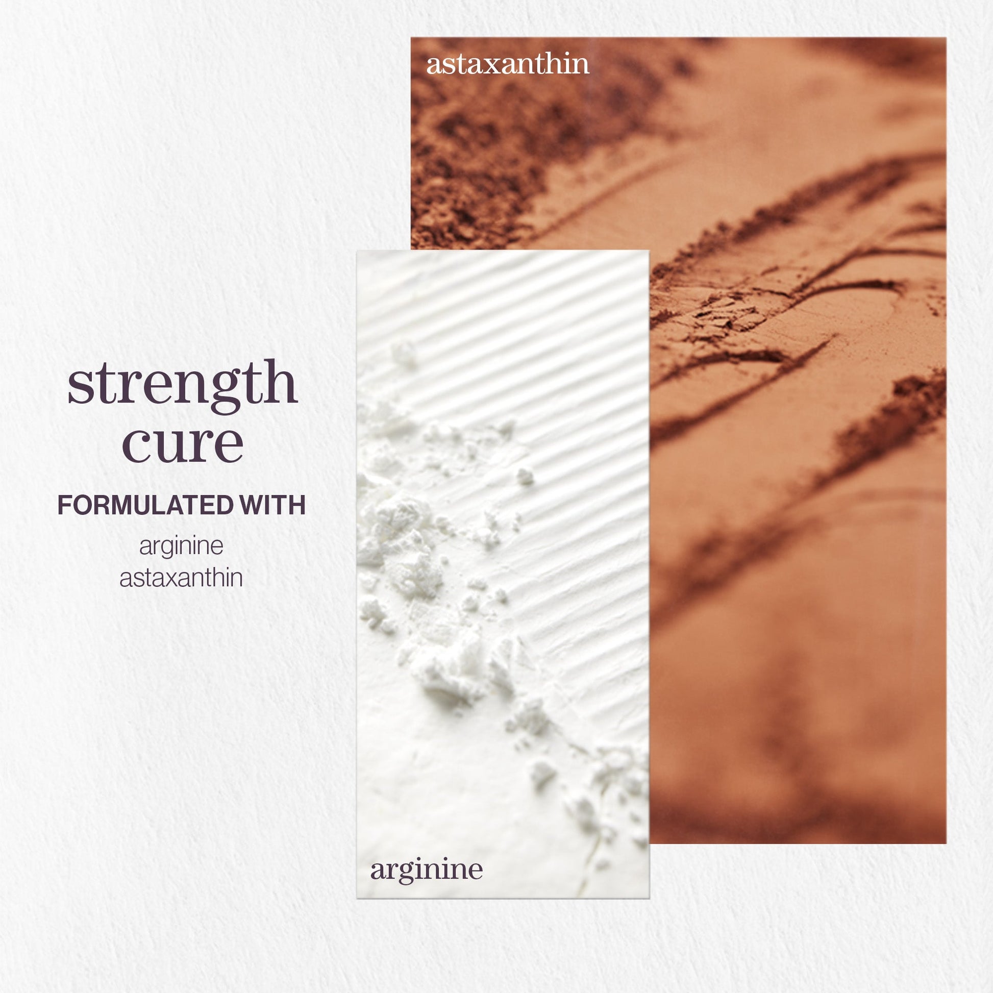 Pureology Strength Cure Shampoo and Conditioner Bundle - Application