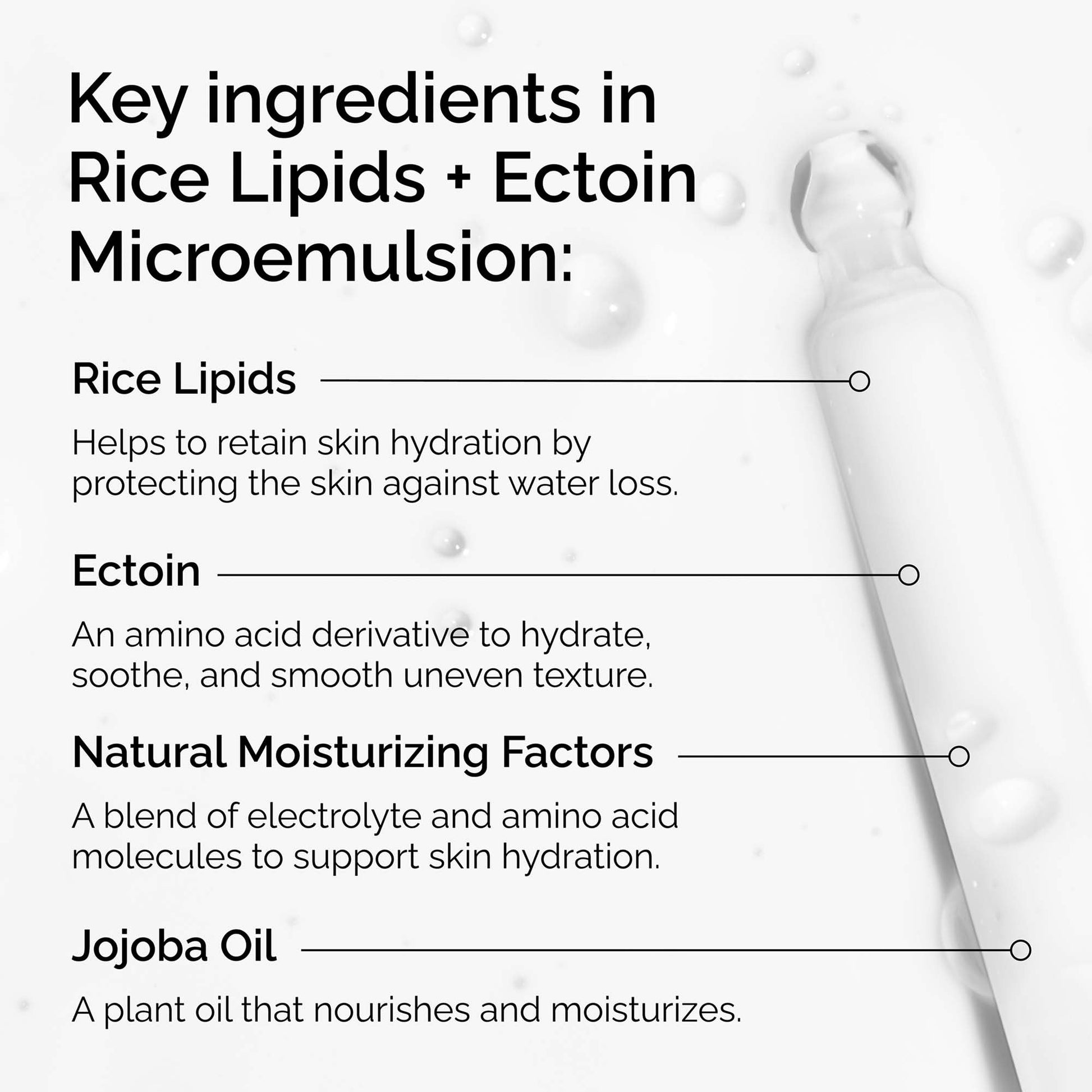 The Ordinary Brighten & Hydrate Bundle - Image 8