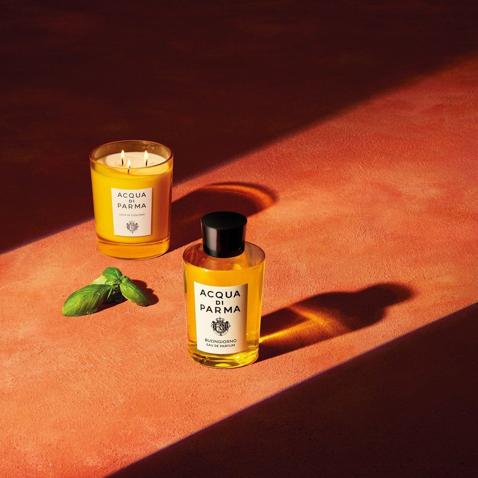 Acqua di Parma Buongiorno Eau de Parfum Bundle - Image 7