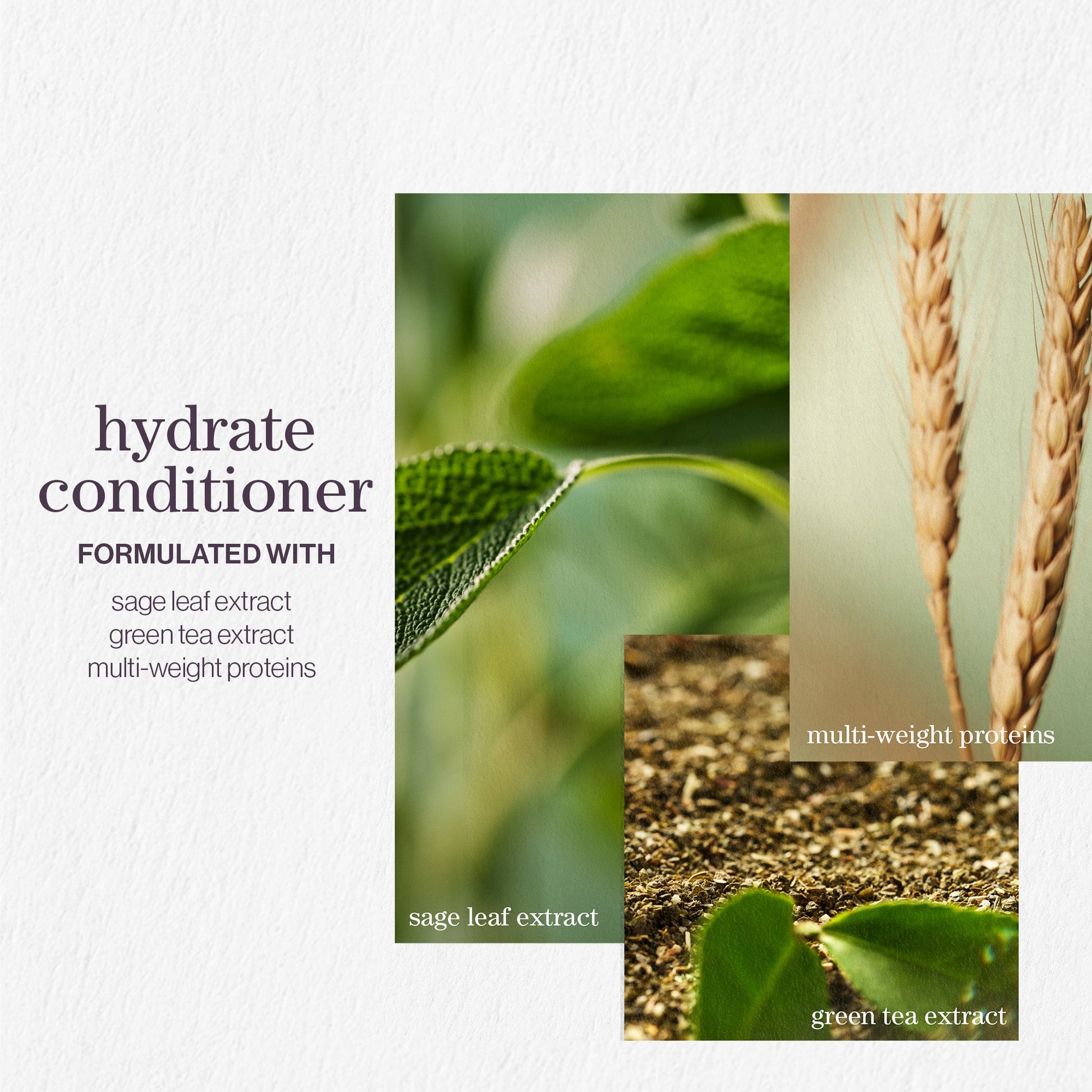 Pureology Hydrate Shampoo and Conditioner Bundle - Application