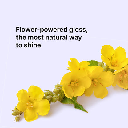 Color Wow Extra Mist-ical Shine Spray - Image 5
