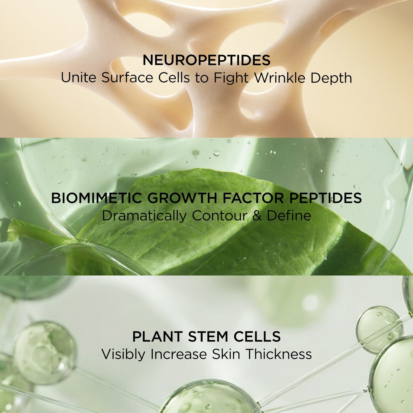 Perricone MD Neuropeptide Pro-Strength Firming Moisturiser - Image 5