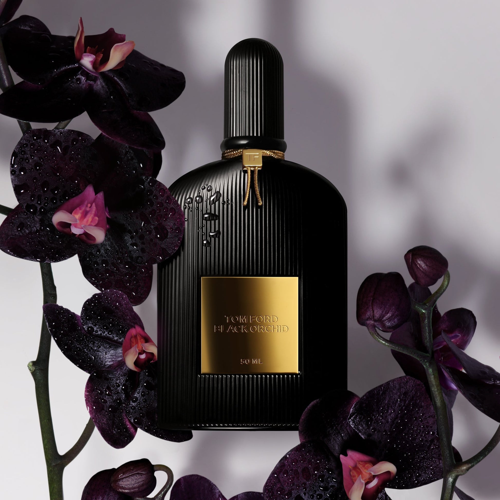 Tom Ford Signature Sampler Set - Product Details