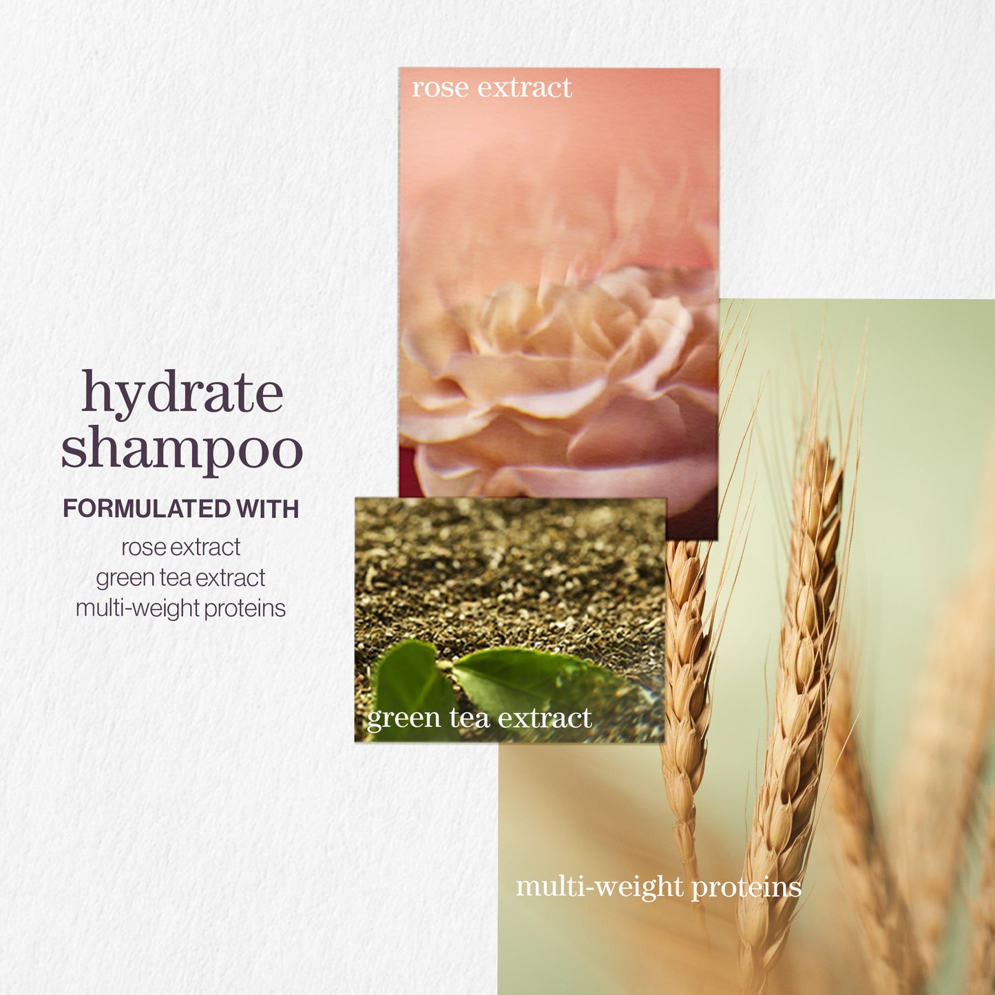 Pureology Hydrate Shampoo and Conditioner Bundle - Product Details