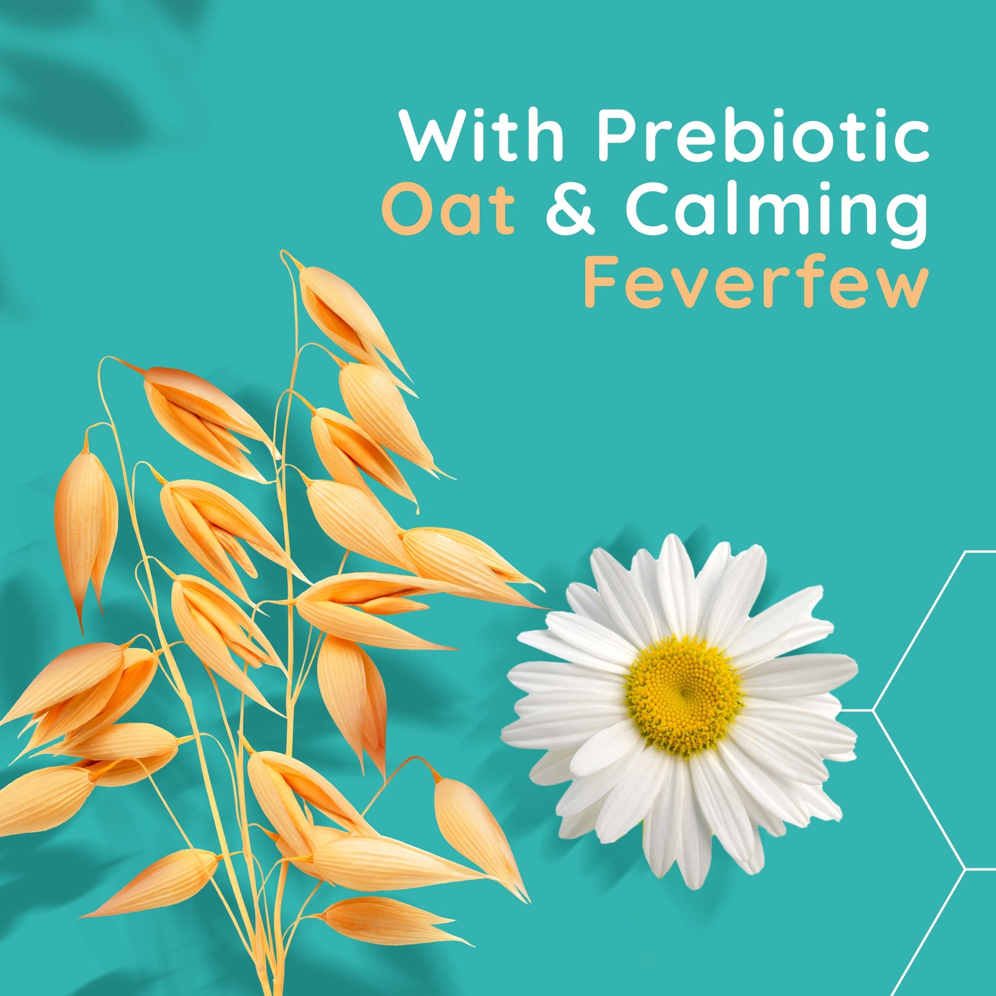 Aveeno Face Calm and Restore Oat Gel Moisturiser - Image 4