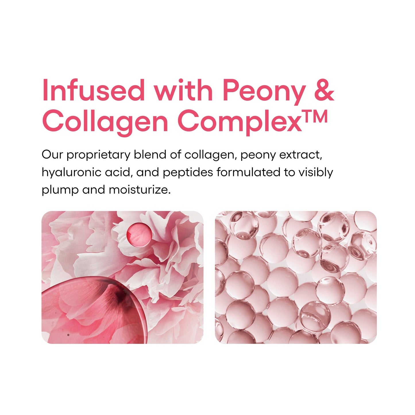 LANEIGE Bouncy Skin on the go Set - Image 7