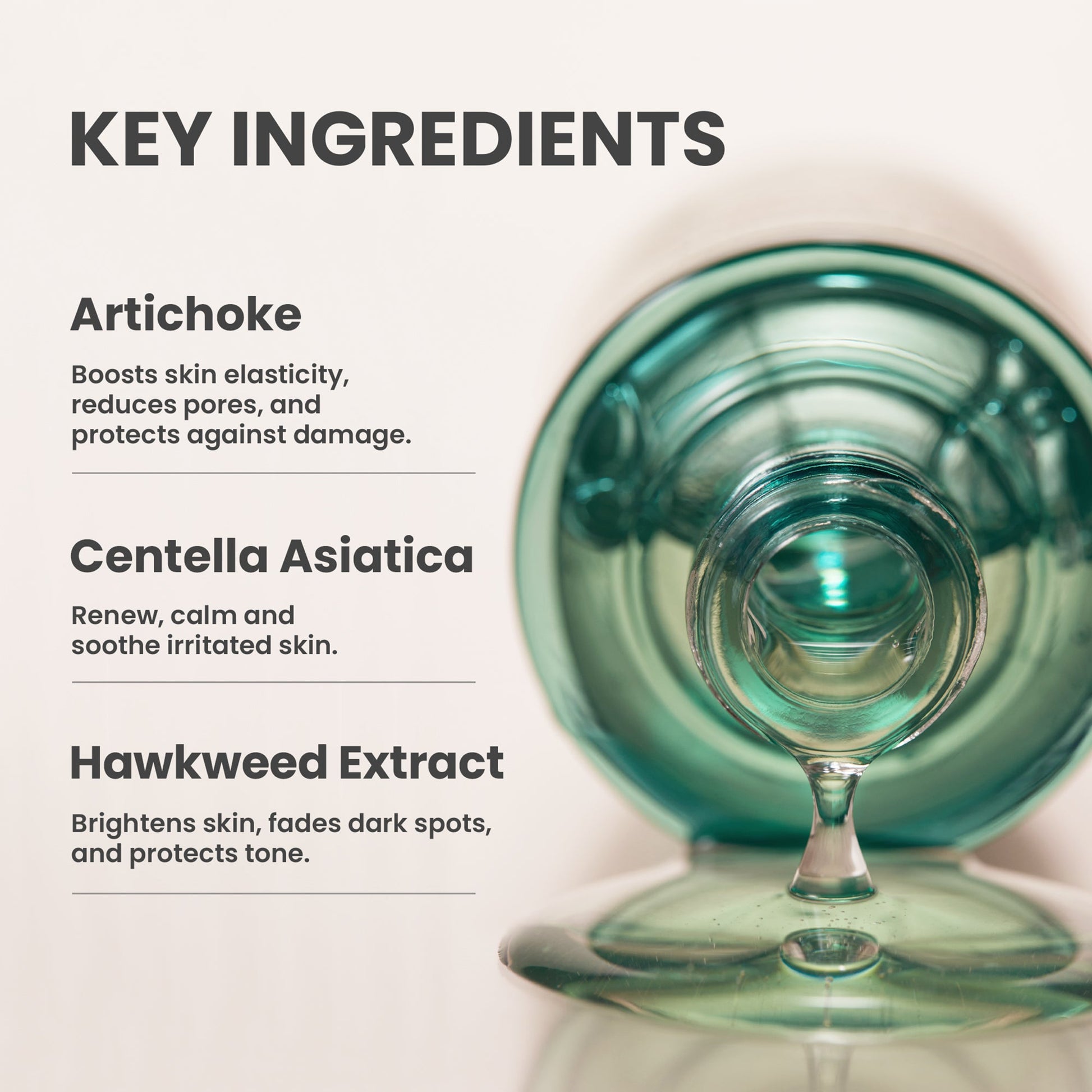 AXIS-Y Artichoke Intensive Skin Barrier Ampoule - Image 6