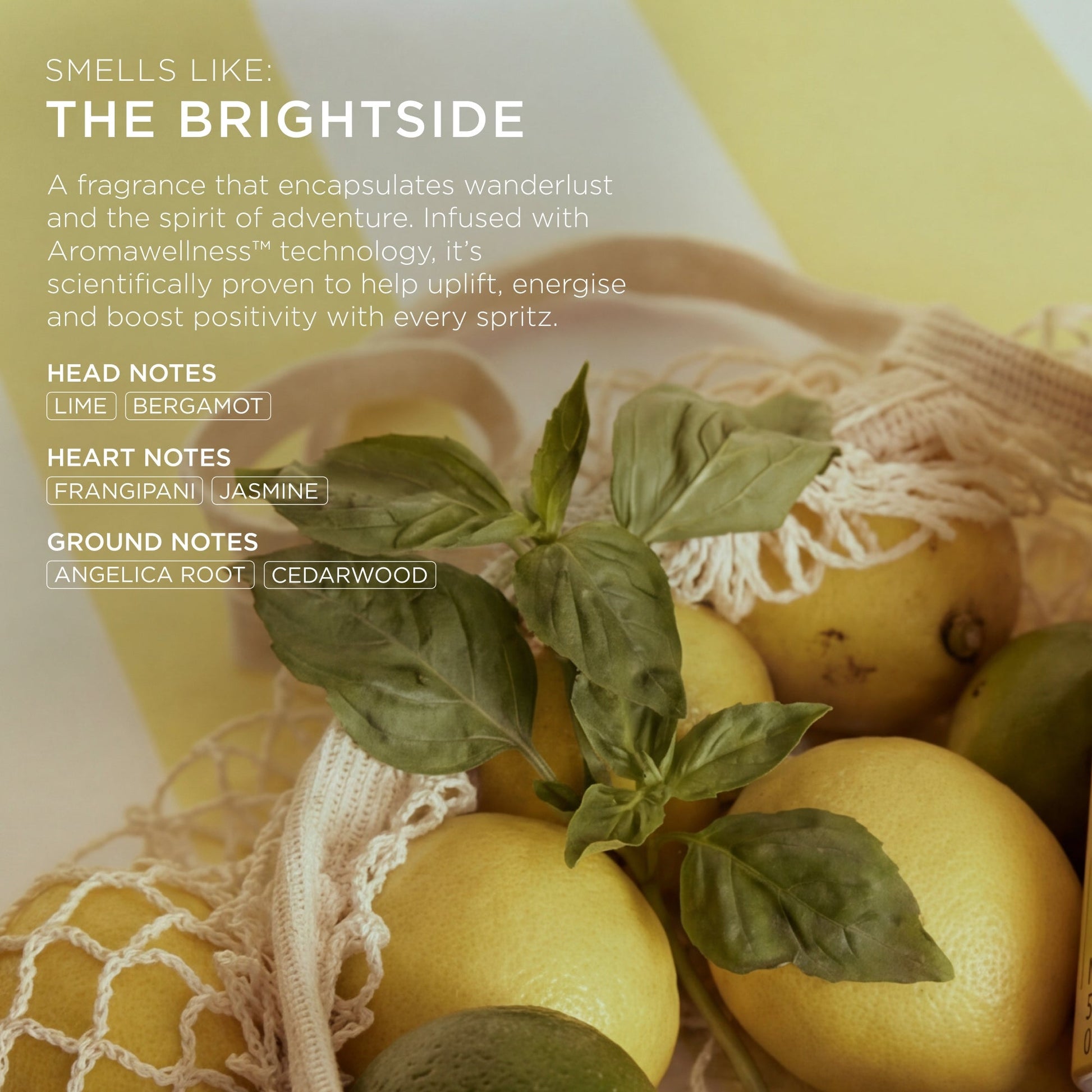 ARKIVE Headcare The Reset Brightside Dry Shampoo - Image 7