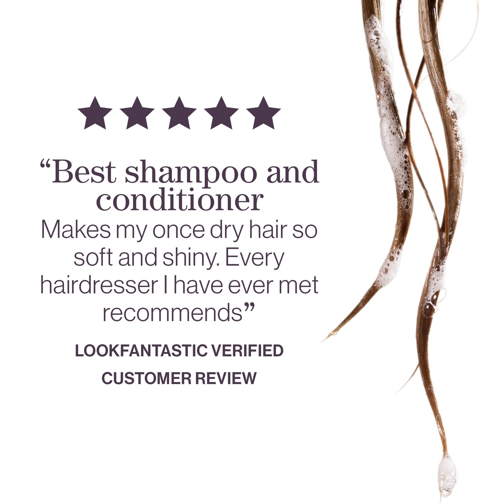 Pureology Hydrate Shampoo and Conditioner Bundle - Image 5