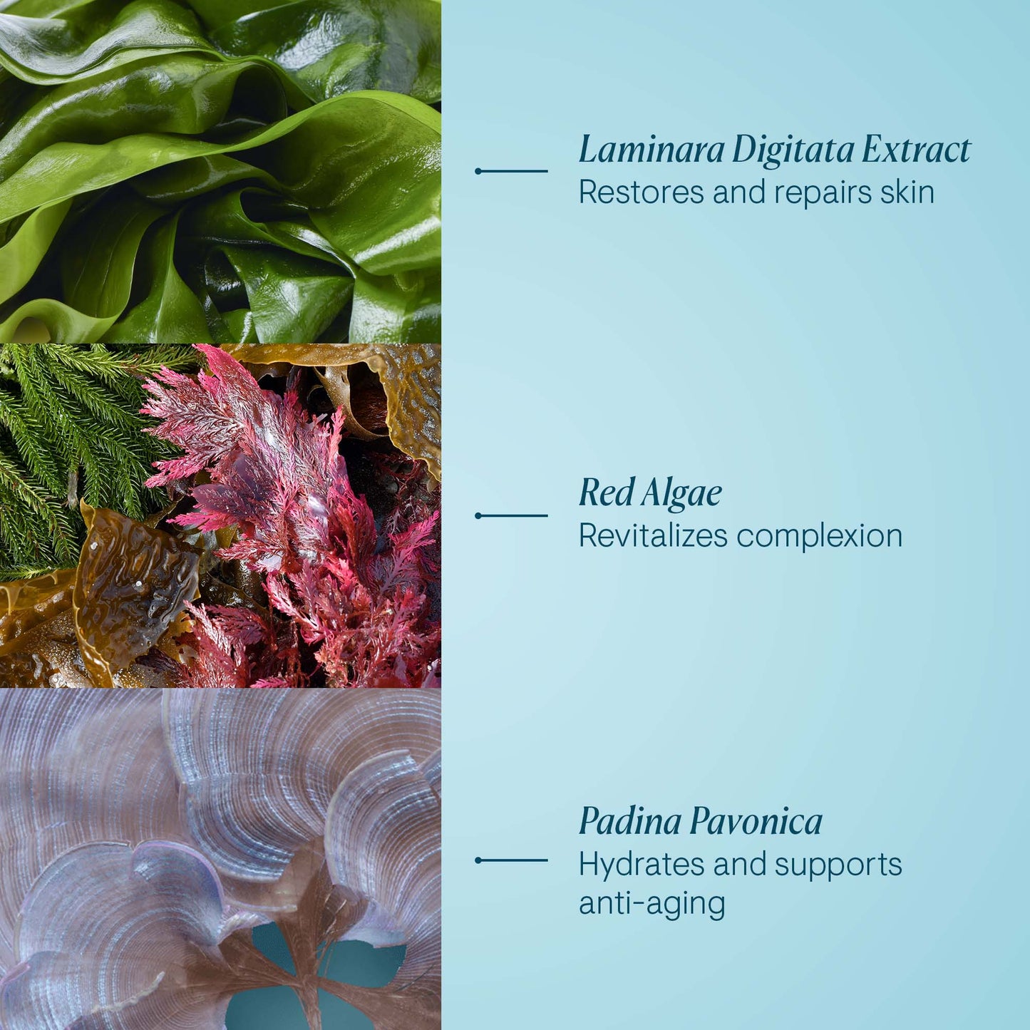 ELEMIS Pro-Collagen Night Cream - Image 5