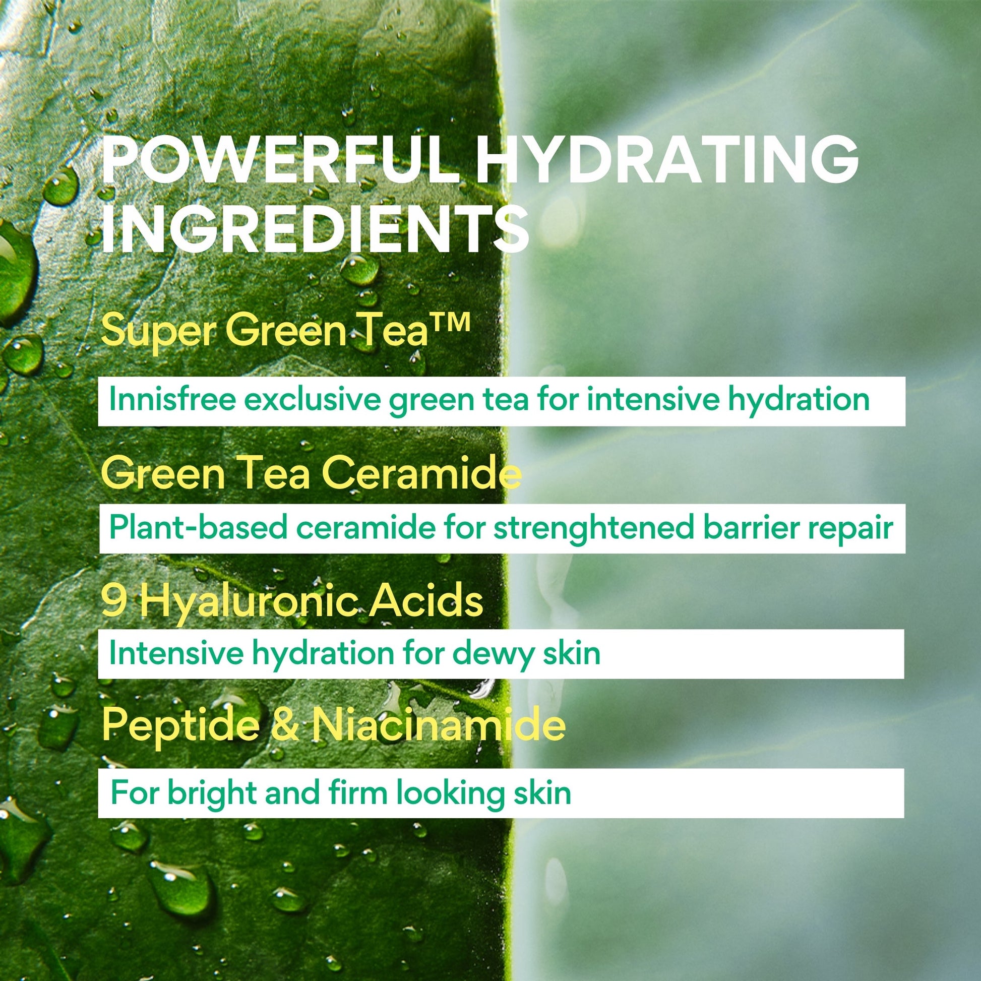 Innisfree Green Tea Ceramide Milk - Image 6
